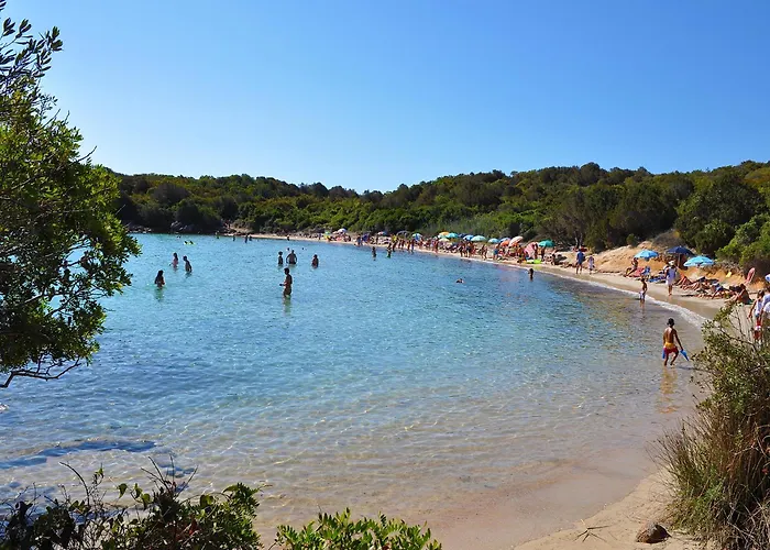 Fiore Con Piscina E Vista Mare * Palau